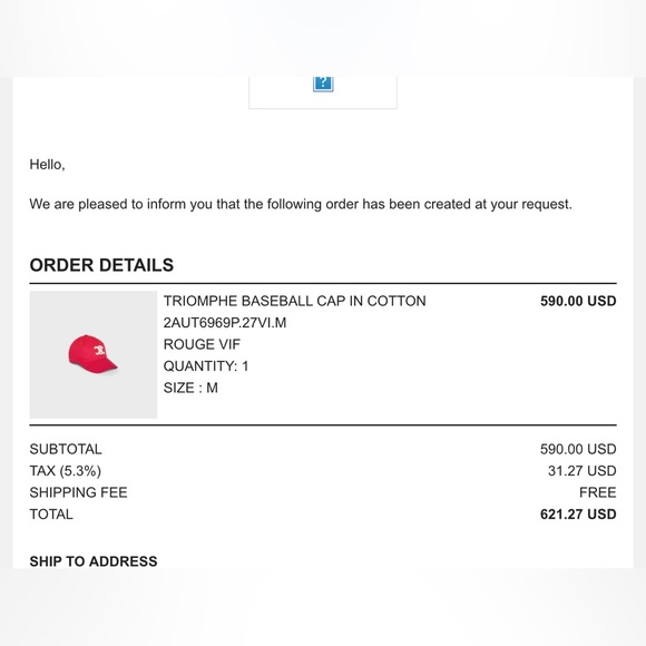 CELINE TRIOMPHE BASEBALL CAP IN COTTON - Picture 13 of 14